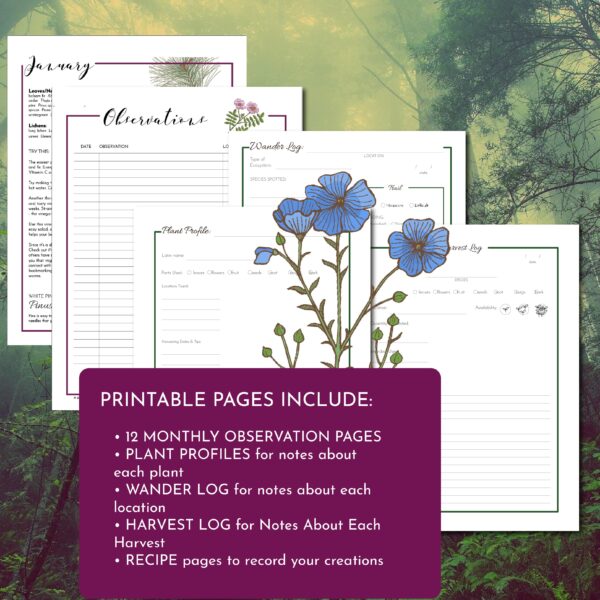 Foraging Journal: with What to Harvest When - Image 3