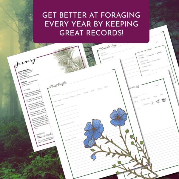 Foraging Journal: with What to Harvest When - Image 2