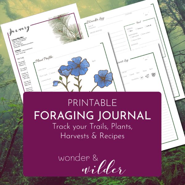 Foraging Journal: with What to Harvest When