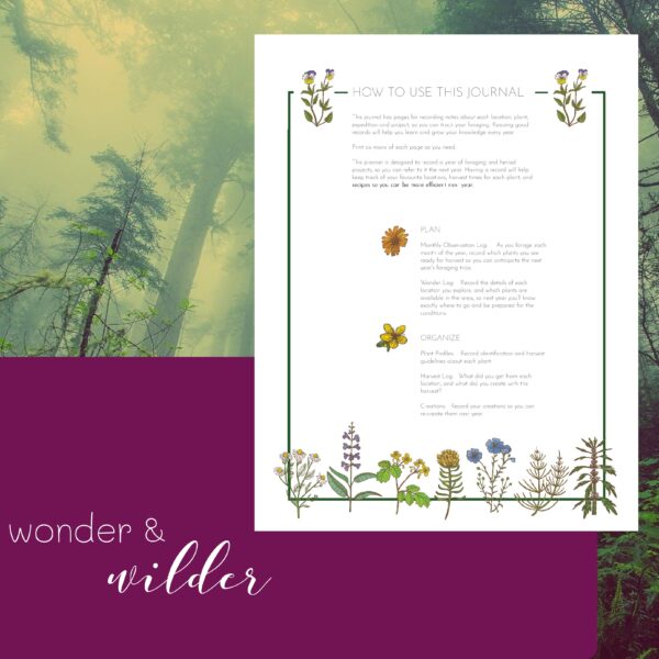 Foraging Journal: with What to Harvest When - Image 4