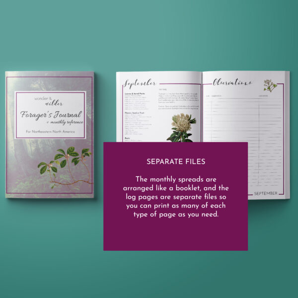 Foraging Journal: with What to Harvest When - Image 6